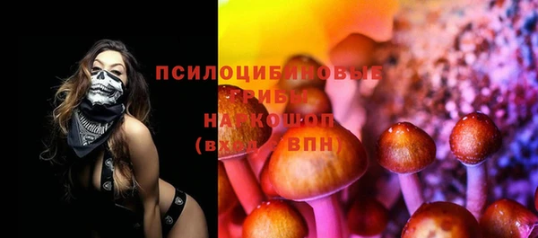 тгк Алексин