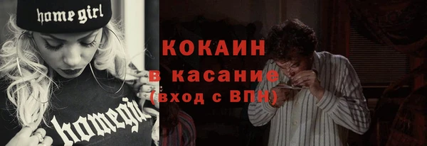 тгк Алексин