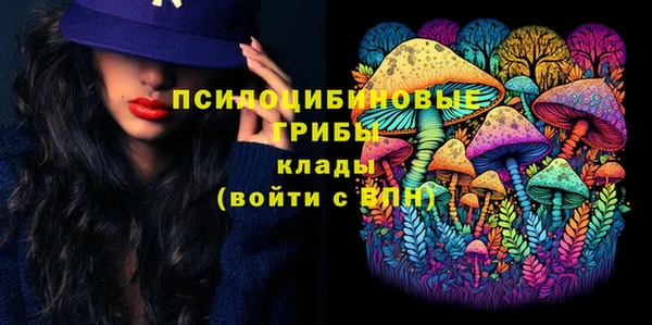 apvp Алексеевка