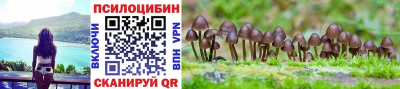 Галлюциногенные грибы MAGIC MUSHROOMS  даркнет сайт  Черкесск 